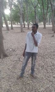 الاسكندر صلاح