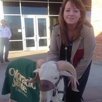 Audra Phillips Willis