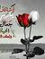 Noha Hams