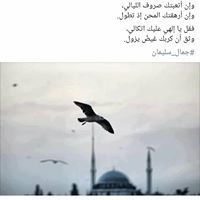 Modser Ahmed Mahmoud