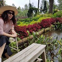 Anna Tjandra