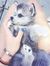 Jia Min