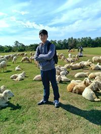 Thanh Trần
