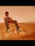 Rohit C...