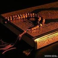 يوسف صلاح