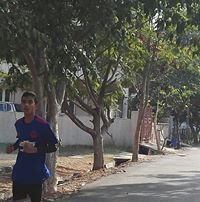 Rohan