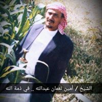 أحمد العامري