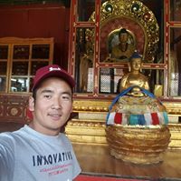 М. Давааням