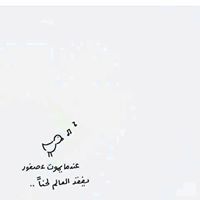 أسماء المنير