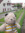 Elvyna