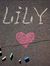 Ana Lily