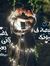 Ahmed G...