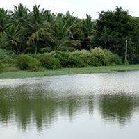 Vikas Reddy