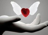 هموم العراقي