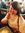 Sharon Tsl