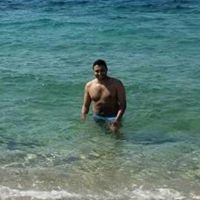 Ahmed El-Gamal