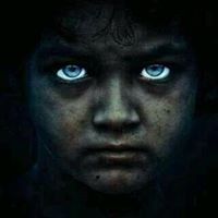 Mohamed EL Shekify