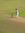 Sachinr...