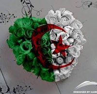 Wahid Mr-Mono