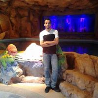 Ahmed Ali