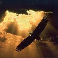 Judi Merrick Atchison