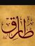 Tarek S...