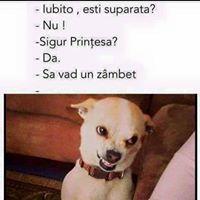 Lepadatu Cristian-Mihail