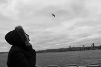 نور الأيوبي