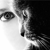 حورية المطر