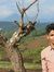 Fahad Raw