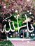 صاصا لوكا