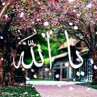 صاصا لوكا