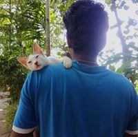 Linu Varghese