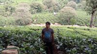 Mohith Subramaniam