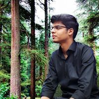 Punit Goyal