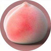桃子 高冷