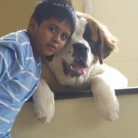 Ganesh Ganesh
