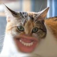 Syed