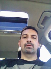 David Steele