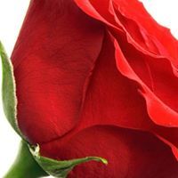 Tahav Iorse-Sheriffs