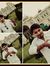 Sujay H...