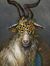 Dumbgoat