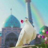 يانعيمي يابقية الله