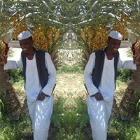 مصطفي عبدالقادر