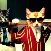 عبدالله ادم