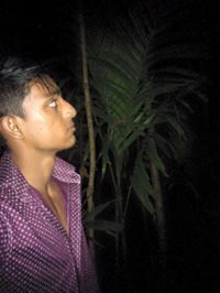আল আমিন