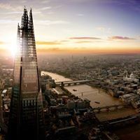 Michele Doyle Seifert