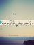 Raghda ...