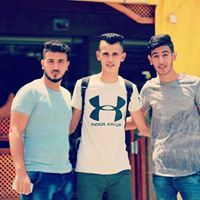 معاوية قندس