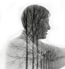 Tran Hao